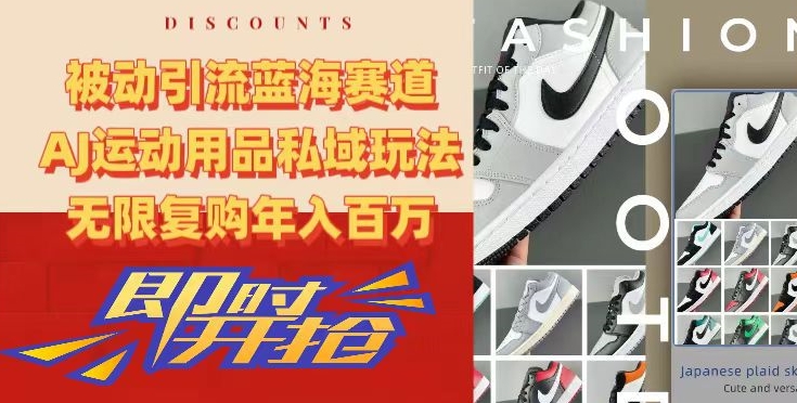 被动引流蓝海赛道，AJ运动用品私域玩法，无限复购年入百万【揭秘】-温暖资源库