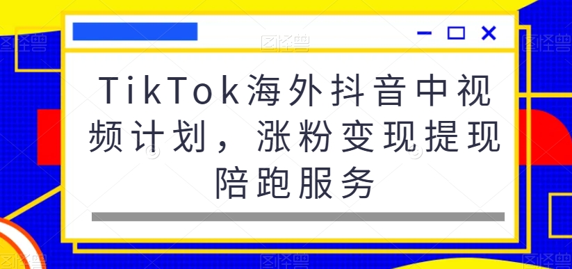 TikTok海外抖音中视频计划，涨粉变现提现陪跑服务-温暖资源库