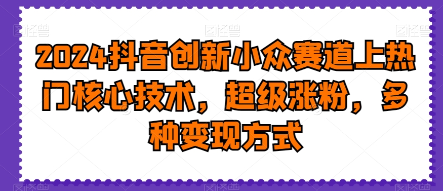 2024抖音创新小众赛道上热门核心技术，超级涨粉，多种变现方式【揭秘】-温暖资源库