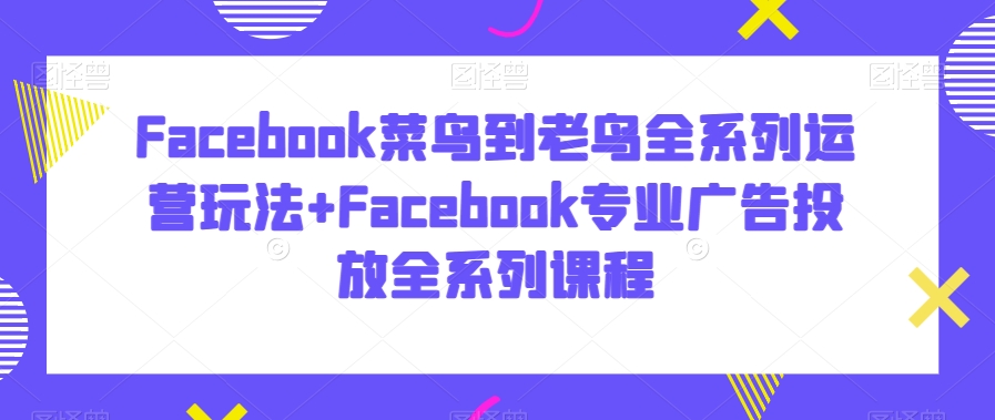 Facebook菜鸟到老鸟全系列运营玩法+Facebook专业广告投放全系列课程-温暖资源库