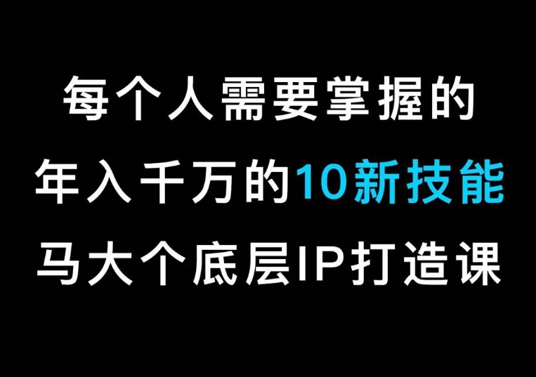马大个的IP底层逻辑课，​每个人需要掌握的年入千万的10新技能，约会底层IP打造方法！-温暖资源库