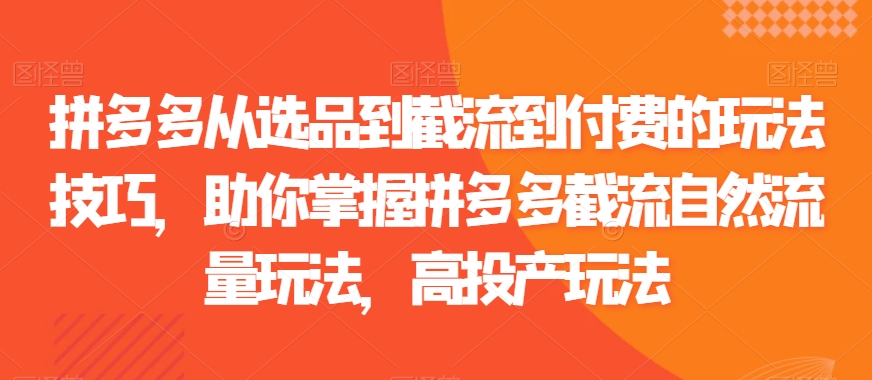 拼多多从选品到截流到付费的玩法技巧，助你掌握拼多多截流自然流量玩法，高投产玩法-温暖资源库