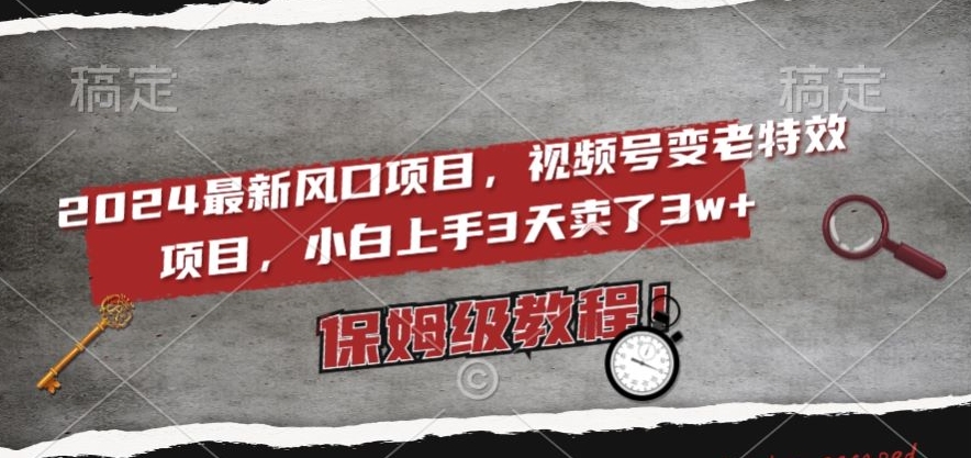 2024最新风口项目，视频号变老特效项目，电脑小白上手3天卖了3w+，保姆级教程【揭秘】-温暖资源库