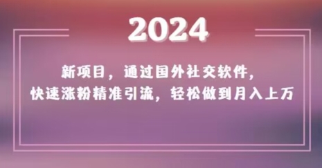 2024新项目，通过国外社交软件，快速涨粉精准引流，轻松做到月入上万【揭秘】-温暖资源库
