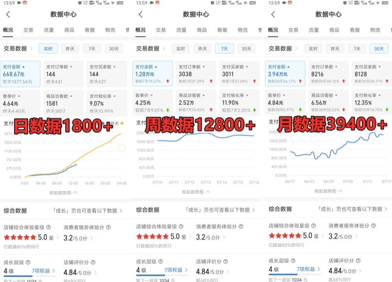 拼多多虚拟电商训练营月入30000+你也行，暴利稳定长久，副业首选-温暖资源库