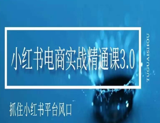 小红书电商实战精通课3.0，抓住小红书平台的风口，不错过有一个赚钱的机会-温暖资源库