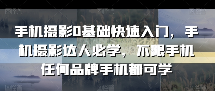 手机摄影0基础快速入门，手机摄影达人必学，不限手机任何品牌手机都可学-温暖资源库