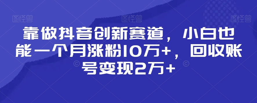 靠做抖音创新赛道，小白也能一个月涨粉10万+，回收账号变现2万+【揭秘】-温暖资源库