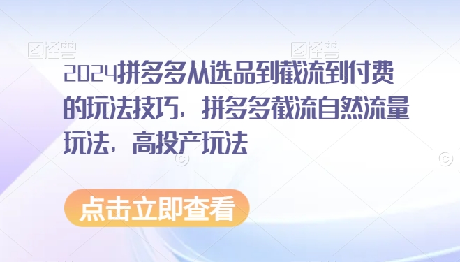 2024拼多多从选品到截流到付费的玩法技巧，拼多多截流自然流量玩法，高投产玩法-温暖资源库