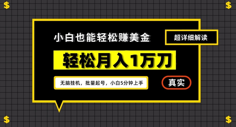 谷歌看广告撸美金2.0，无脑挂机，多号操作，月入1万刀【揭秘】-温暖资源库