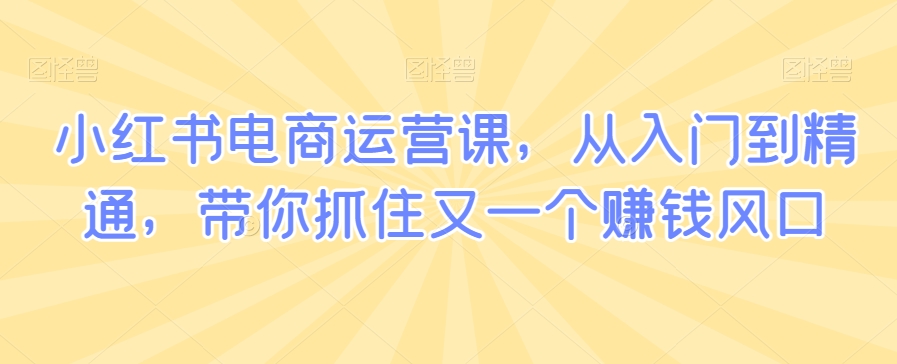 小红书电商运营课，从入门到精通，带你抓住又一个赚钱风口-温暖资源库