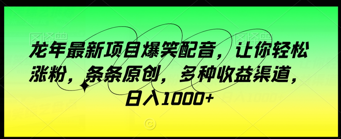 龙年最新项目爆笑配音，让你轻松涨粉，条条原创，多种收益渠道，日入1000+【揭秘】-温暖资源库