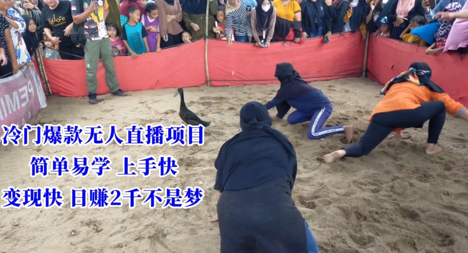 冷门爆款无人直播项目，简单易学上手快，变现快日赚2千不是梦【揭秘】-温暖资源库