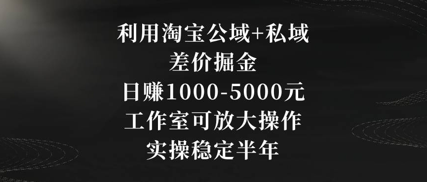 利用淘宝公域+私域差价掘金，日赚1000-5000元，工作室可放大操作，实操稳定半年【揭秘】-温暖资源库