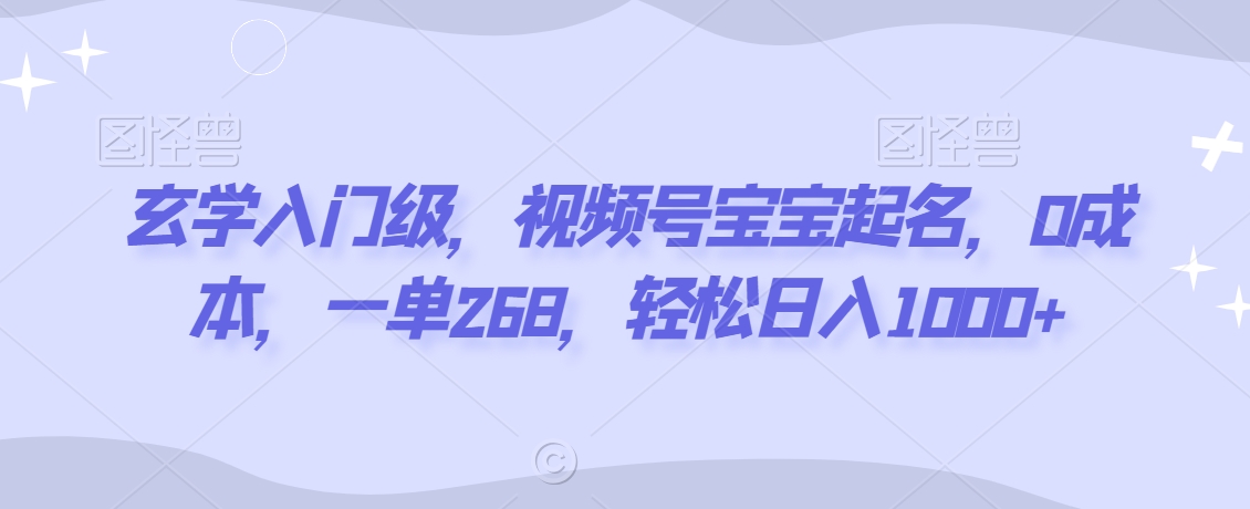 玄学入门级，视频号宝宝起名，0成本，一单268，轻松日入1000+【揭秘】-温暖资源库