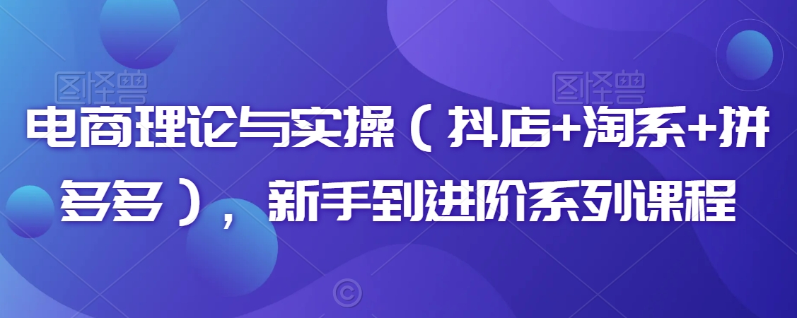 电商理论与实操（抖店+淘系+拼多多），新手到进阶系列课程-温暖资源库