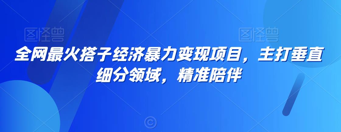 全网最火搭子经济暴力变现项目，主打垂直细分领域，精准陪伴【揭秘】-温暖资源库
