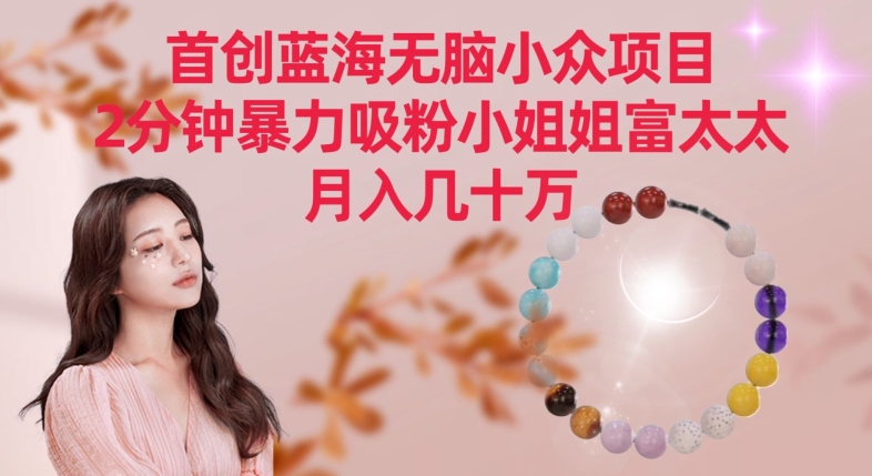 首创蓝海无脑小众项目，2分钟暴力吸粉小姐姐富太太，月入几十万【揭秘】-温暖资源库