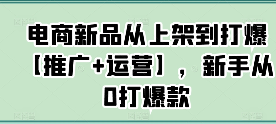 电商新品从上架到打爆【推广+运营】，新手从0打爆款-温暖资源库