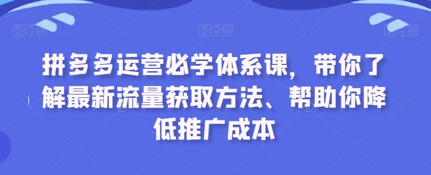 拼多多运营必学体系课，带你了解最新流量获取方法、帮助你降低推广成本-温暖资源库