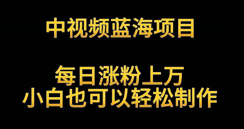 中视频蓝海项目，解读英雄人物生平，每日涨粉上万，小白也可以轻松制作，月入过万不是梦【揭秘】-温暖资源库