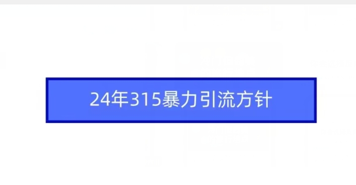 24年315暴力引流方针-温暖资源库