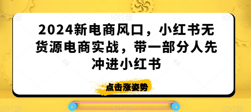 2024新电商风口，小红书无货源电商实战，带一部分人先冲进小红书-温暖资源库