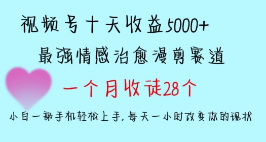 十天收益5000+，多平台捞金，视频号情感治愈漫剪，一个月收徒28个，小白一部手机轻松上手【揭秘】-温暖资源库