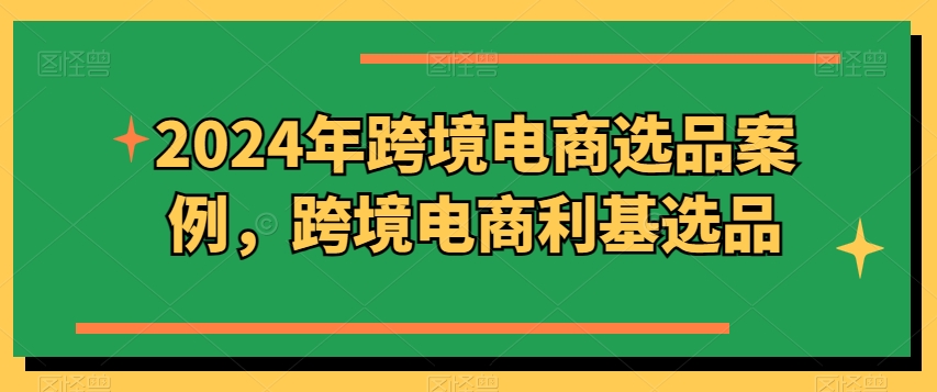 2024年跨境电商选品案例，跨境电商利基选品（更新11月）-温暖资源库