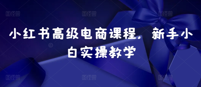 小红书高级电商课程，新手小白实操教学-温暖资源库