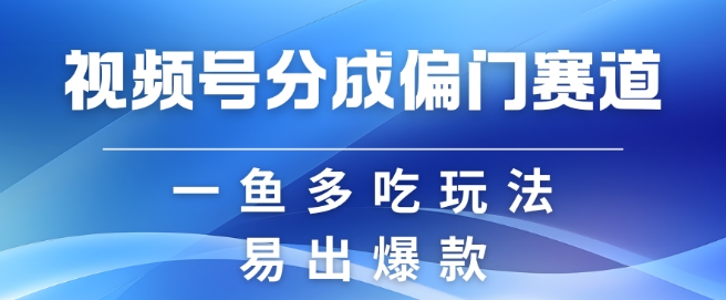 视频号创作者分成计划偏门类目，容易爆流，实拍内容简单易做【揭秘】-温暖资源库