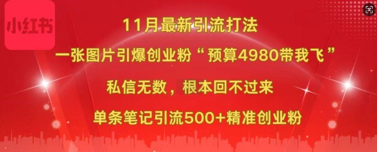 小红书11月最新图片打粉，一张图片引爆创业粉，“预算4980带我飞”，单条引流500+精准创业粉-温暖资源库