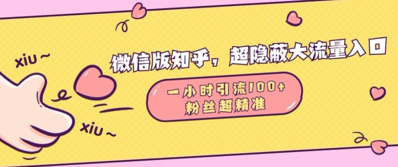 微信版知乎，超隐蔽流量入口1小时引流100人，粉丝质量超高【揭秘】-温暖资源库