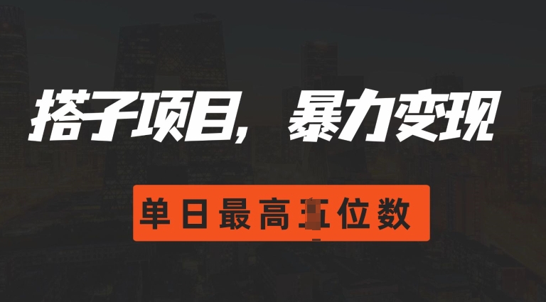 2024搭子玩法，0门槛，暴力变现，单日最高破四位数【揭秘】-温暖资源库