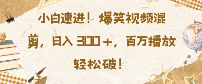 小白速进，爆笑视频混剪，日入3张，百万播放轻松破【揭秘】-温暖资源库