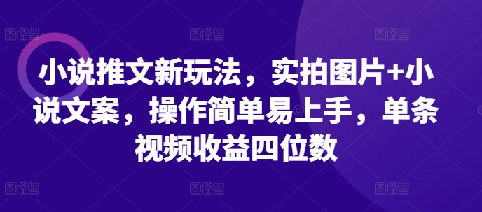 小说推文新玩法，实拍图片+小说文案，操作简单易上手，单条视频收益四位数-温暖资源库