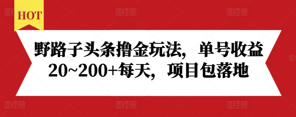 野路子头条撸金玩法，单号收益20~200+每天，项目包落地-温暖资源库