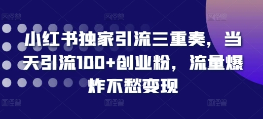 小红书独家引流三重奏，当天引流100+创业粉，流量爆炸不愁变现【揭秘】-温暖资源库