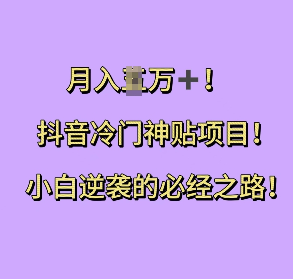 抖音冷门神贴项目，小白逆袭的必经之路，月入过W【揭秘】-温暖资源库