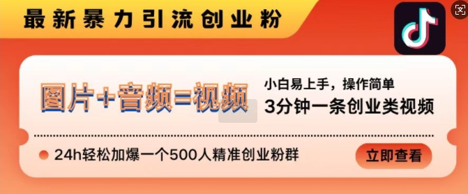 抖音最新暴力引流创业粉，3分钟一条创业类视频，24h轻松加爆一个500人精准创业粉群【揭秘】-温暖资源库