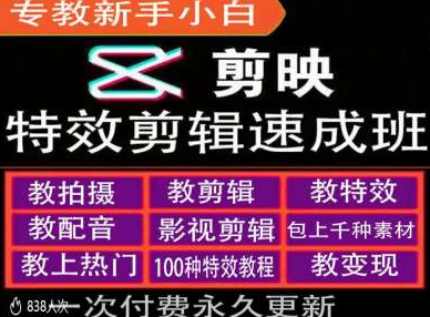 剪映特效教程和运营变现教程，特效剪辑速成班，专教新手小白-温暖资源库