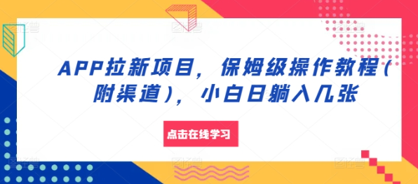 APP拉新项目，保姆级操作教程(附渠道)，小白日躺入几张【揭秘】-温暖资源库