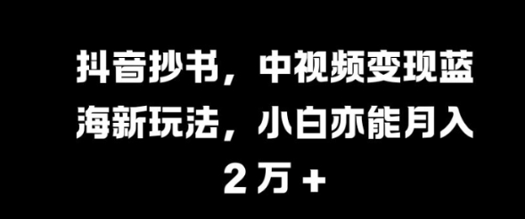 抖音抄书，中视频变现蓝海新玩法，小白亦能月入 过W【揭秘】-温暖资源库
