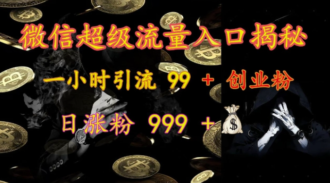 微信超级流量入口揭秘：一小时引流 99 + 创业粉，日涨粉 999 +-温暖资源库