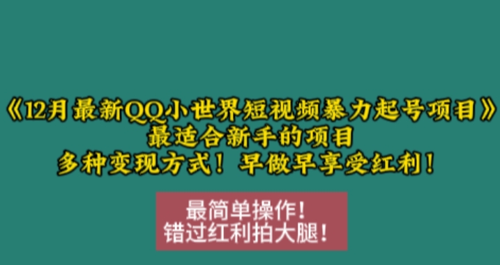 12月最新QQ小世界短视频暴力起号项目，最适合新手的项目，多种变现方式-温暖资源库