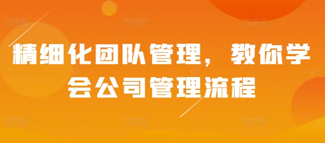 精细化团队管理，教你学会公司管理流程-温暖资源库