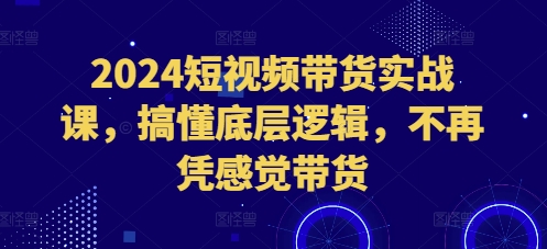 2024短视频带货实战课，搞懂底层逻辑，不再凭感觉带货-温暖资源库