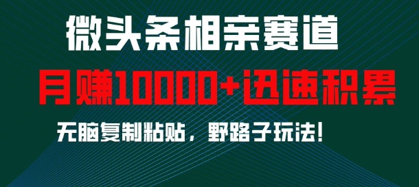 微头条相亲赛道，迅速积累，无脑复制粘贴，野路子玩法，月入1w-温暖资源库