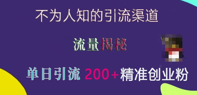 不为人知的引流渠道，流量揭秘，实测单日引流200+精准创业粉【揭秘】-温暖资源库