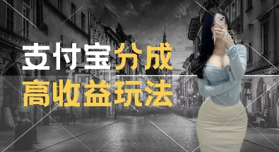 支付宝分成计划新玩法，利用交通事故视频，赚收益，轻松月入过W，操作简单【揭秘】-温暖资源库